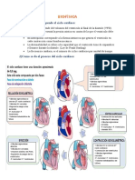 Ciclo Cardiaco