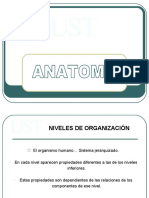 4.1 Anatomia Cavidades y Regiones Corporales