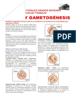 Guia de Trabajo Meiosis y Gametogénesis