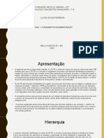 Job Task 1 - Fundamentos Da Adm Lucas Souza 06032022