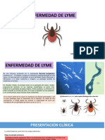 Enfermedad de Lyme