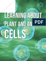 Plant and Animal Cell Worksheets