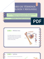 Glosario Osteología y Miología