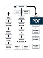 Organigrama Vertical