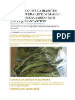 Esta Hoja Quita La Diabetes Como Si Fuera Arte de Magia