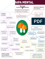 Mapa Mental Felipe - Micologia