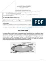 2° Medio - Biología Guía