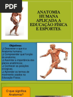 Anatomia Humana Aplicada A Educação Física