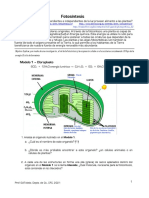 Taller Sobre Estructura y Metabolismo de La Fotosíntesis