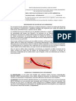 Sistema Endocrino.