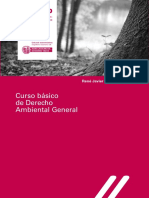 Curso Derecho Ambiental Rene Santamaria Arinas