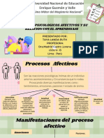 Procesos Afectivos