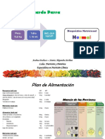 Modelo Plan de Alimentación