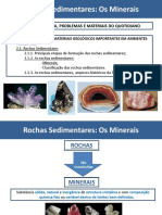 2.1.2.1 As Rochas Sedimentares - Minerais