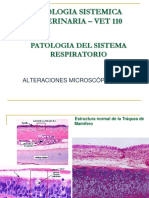 3 Prcticas Sist Respiratorio B VET 110