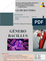 Familia de Bacteria