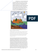 Hydrological Cycle