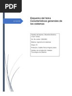 Sintesis de Caracteristica General de Los Sistemas en La Organizacion