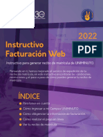 Instructivo Facturacion Web