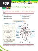 16a - Sistema Digestivo