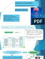 Sistema Neurologico NEONATAL