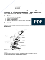 Pratica Microscopia e Div - Celular - 2022