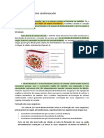 Formação Do Sistema Cardiovascular