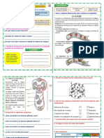 Ficha Ciencia 11 de Julio