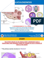 Folliculogenesis: R. RUTHRAKUMAR M. V. SC., Scholar