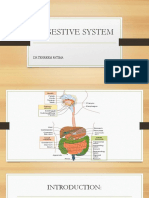 Digestive System by Dr. Tehreem Fatima