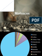 Tema 1.1 - Moluscos