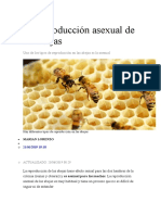 La Gestación o Reproducción de Los Abejas