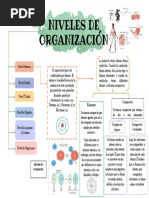 Niveles de Organización