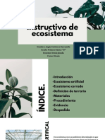 Instructivo de Ecosistema