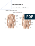 Topografi Truncus3