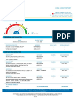 22 XXX XXX TP Cibil Report