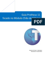 Guia Protheus 11 Focado No Modulo Chao D