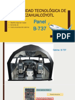 Panel B737