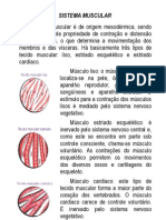 Apostila 1 Sistema Muscular