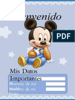 Mi Control Sano Mickey