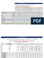 1.3 Control de Avance Redes de Buzones - Junin