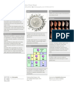 Genetics Cheat Sheet: by Via