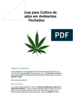 Técnicas para Cultivo de Cannabis em Ambientes Fechados