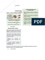 5 - Distúrbios Cardiocasculares