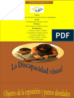 Discapacidad Visual