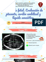 S10 - Biometría Fetal. Evaluación de Placenta, Cordón Umbilical y Líquido Amniótico.