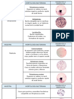 Esquema de La Observación