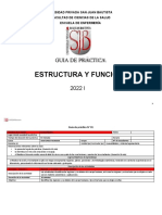 Guia Practica Estructura y Funcion I