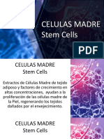 Taller de Celulas Madre