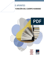 Cuaderno de Apuntes